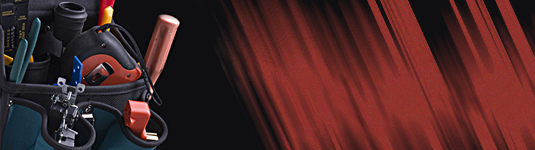 Primary Raster logo